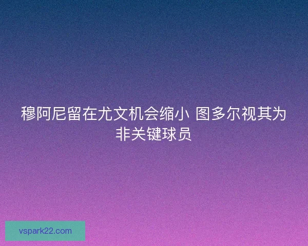 穆阿尼留在尤文机会缩小 图多尔视其为非关键球员